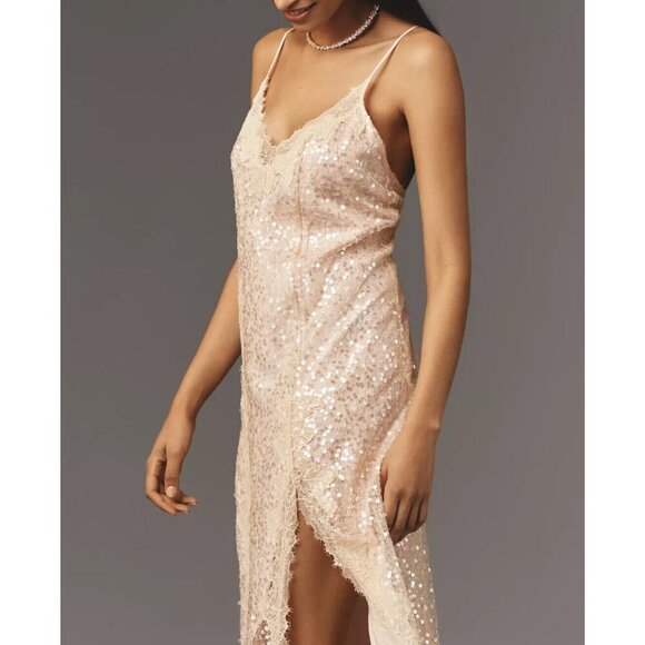 Anthropologie En Elly Sleeveless V-Neck Lace Sequin Slip Midi Dress S - Picture 1 of 4